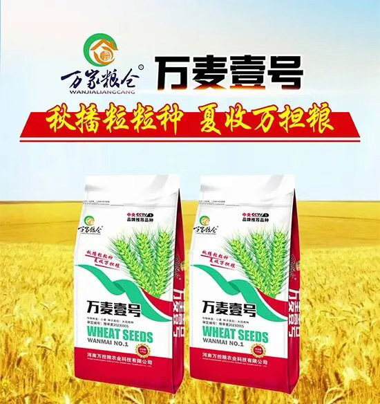河南万担粮农业科技有限公司6.jpg